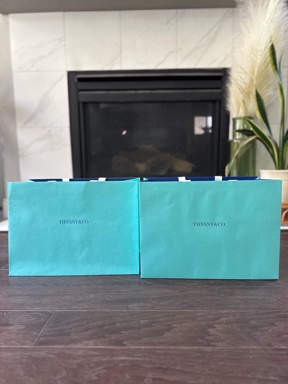 Tiffany & Co. Robin's Egg Blue Shopping Bags — Set of 2